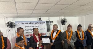 सडक बत्तीको महसुल बक्यौता तिर्ने पालिकालाई सम्मान