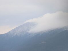 श्रीमतीसँग झगडा परेपछि हराएका महर्जन १७ दिनपछि शिवपुरी जङ्गलमा भेटिए मृत