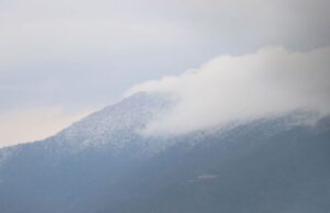 श्रीमतीसँग झगडा परेपछि हराएका महर्जन १७ दिनपछि शिवपुरी जङ्गलमा भेटिए मृत